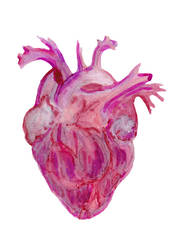 Anatomic heart