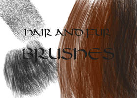 Hair and Fur Brushes