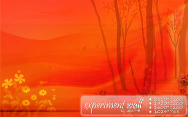 Experiment Wall