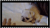puppy stamp by xMonsterjojox
