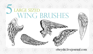 Large Wing Brushes