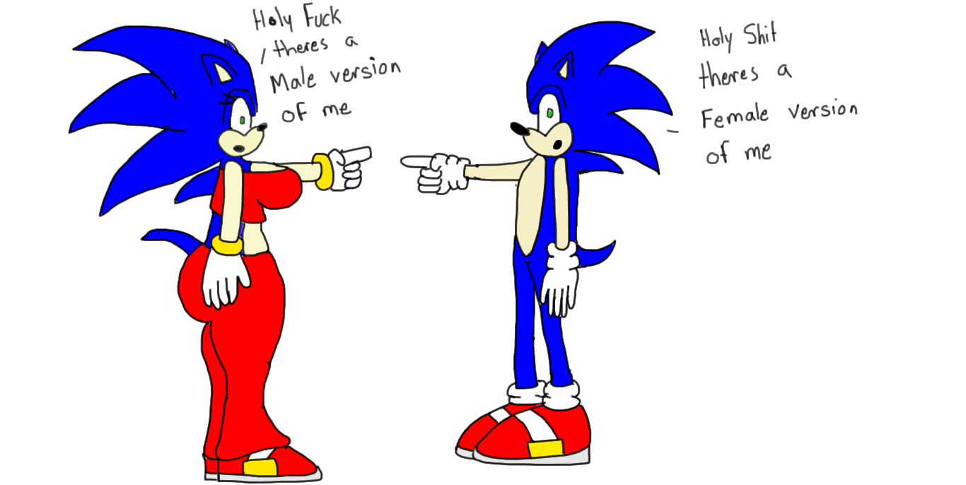 Sonic meets Sonica