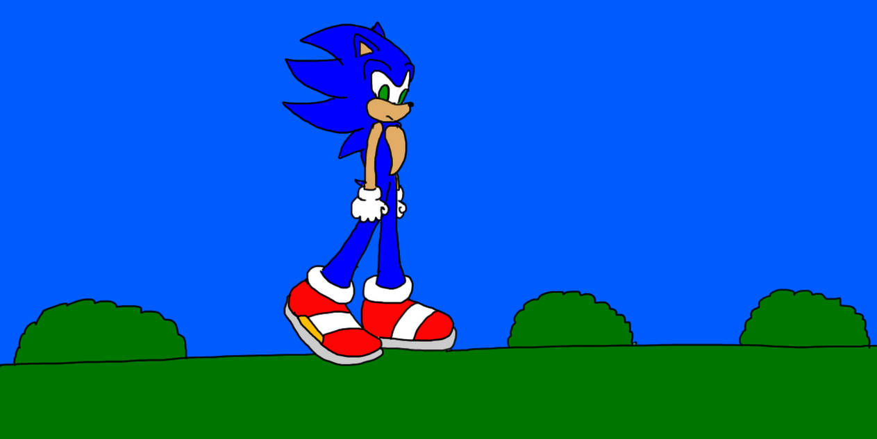Sonic the hedgehog by TruePhazonianForce on DeviantArt