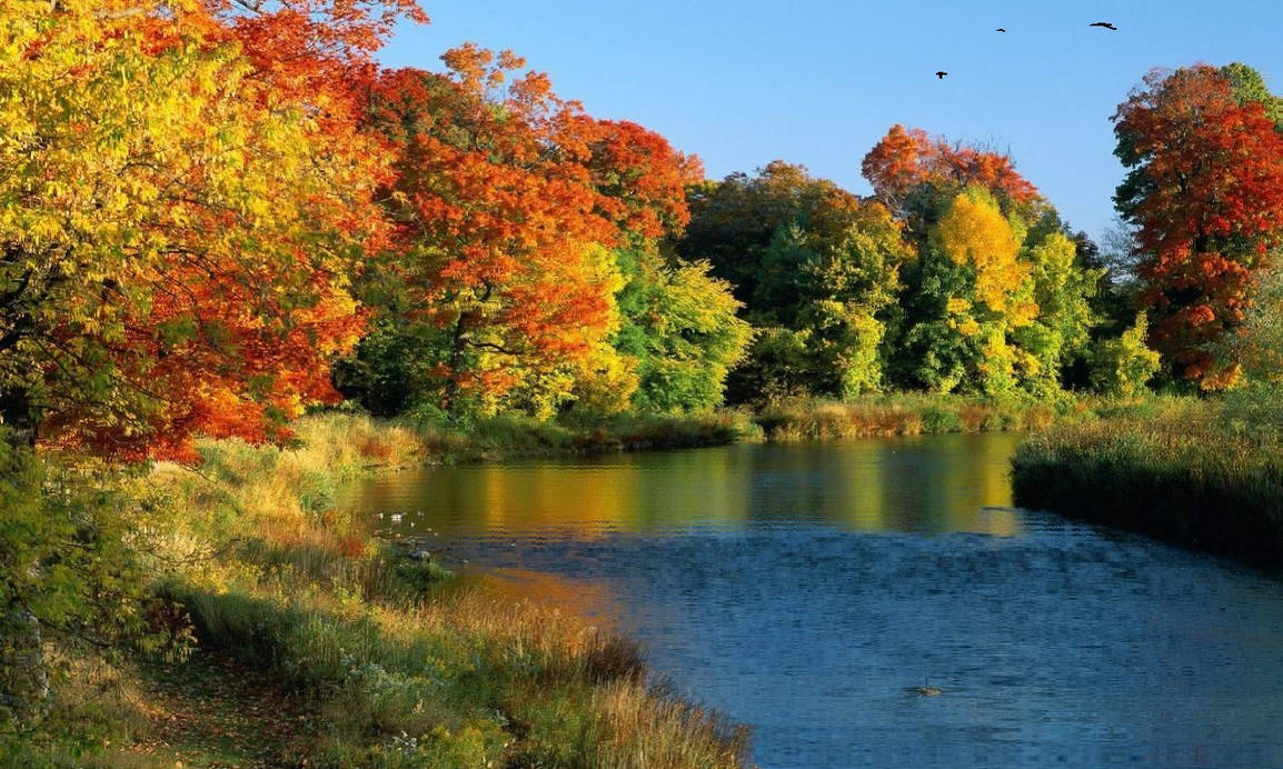 Картинка времена года осень. Леса озера Онтарио. Осенняя природа. Осенний пейзаж. Сентябрь природа.