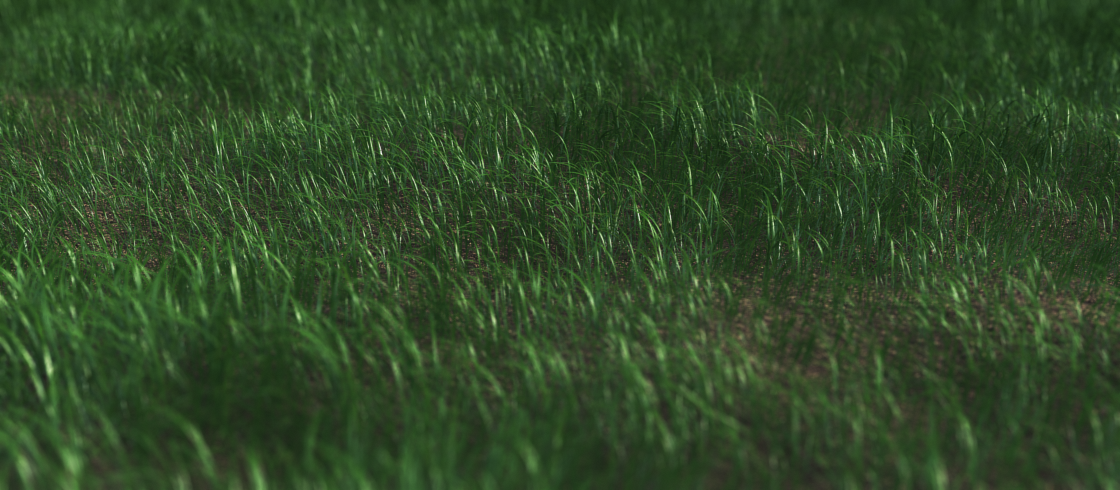 grass_test_6