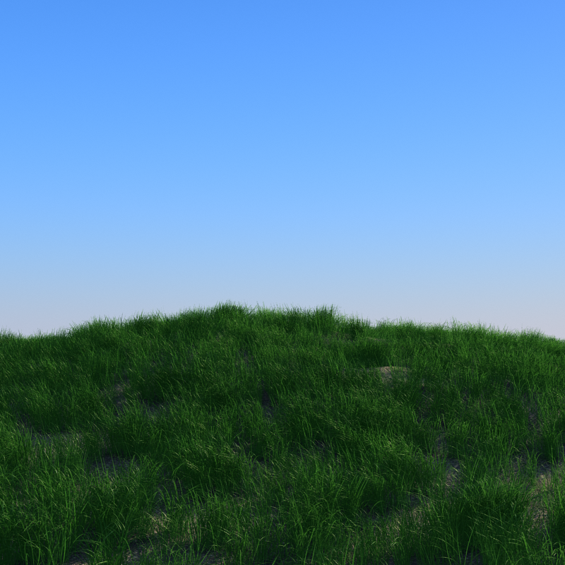 grass_test_10