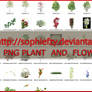 PNG PLANT AND FLOWERS