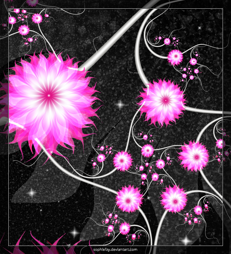 Fractal pink flowers 'S PNG