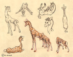 Giraffe Character Sheet