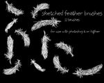 Sketched Feather Brushes