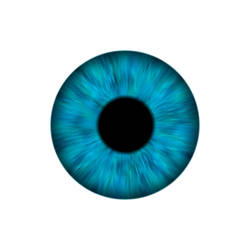 Eye Iris