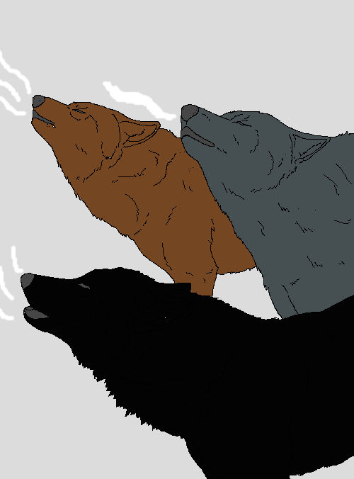Howling to the moon by werewolftg on DeviantArt