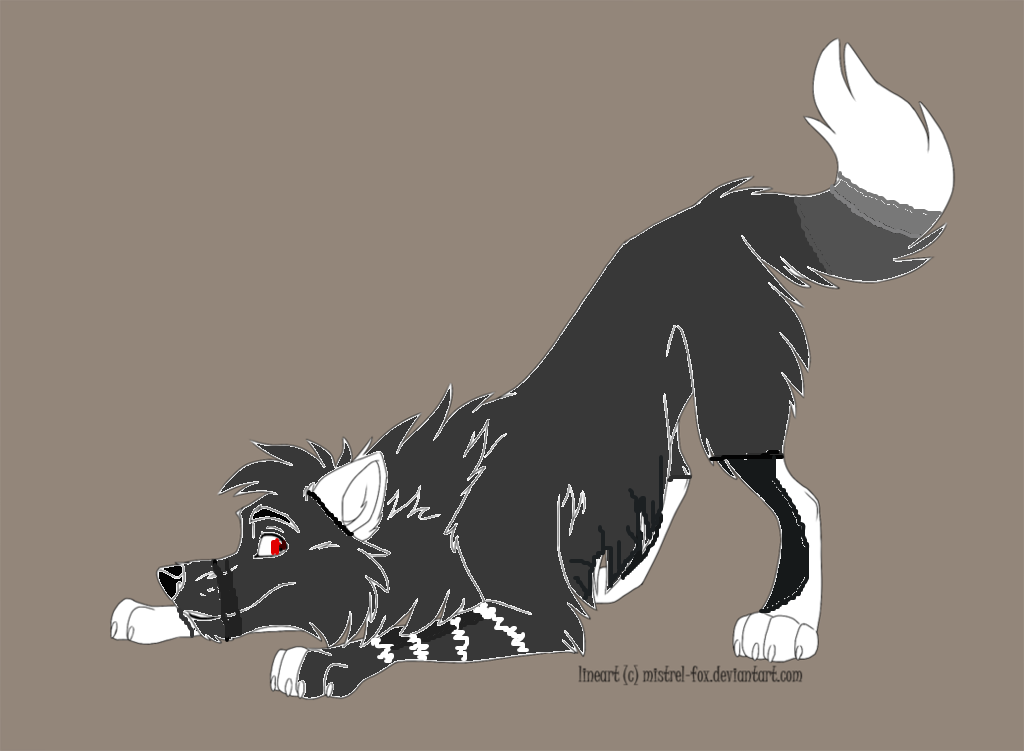 New wolf oc Monochrome