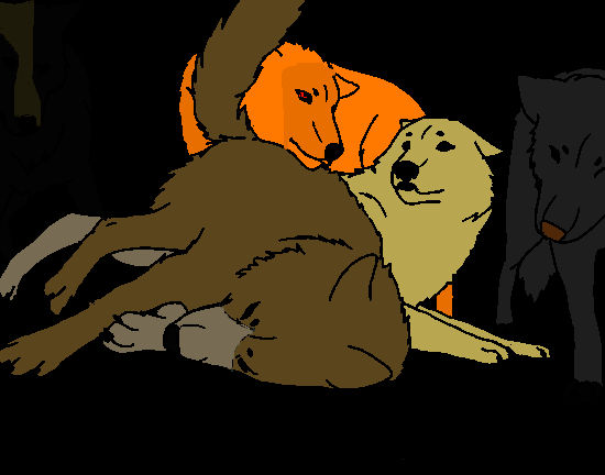 Wolf adopt-five points by werewolftg on DeviantArt