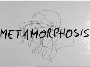 1 - Metamorphosis