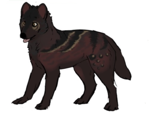 My New Wolf OC by FancyVinylScratch on DeviantArt