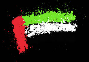 uae flag paints