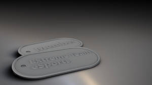 ExT Dogtag wip