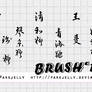 [brush]-chinese words