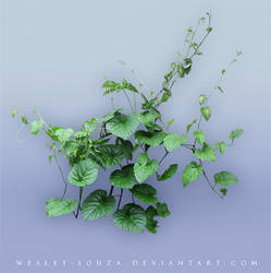 Plant PNG stock