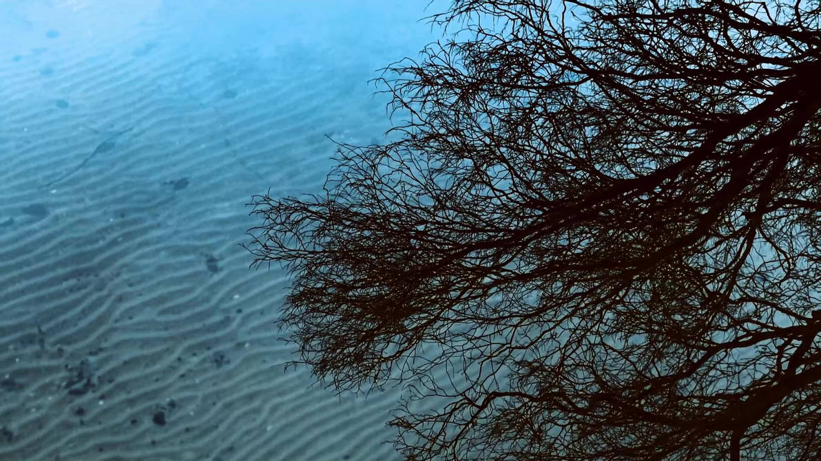 pristine-reflection-by-mightymads-on-deviantart