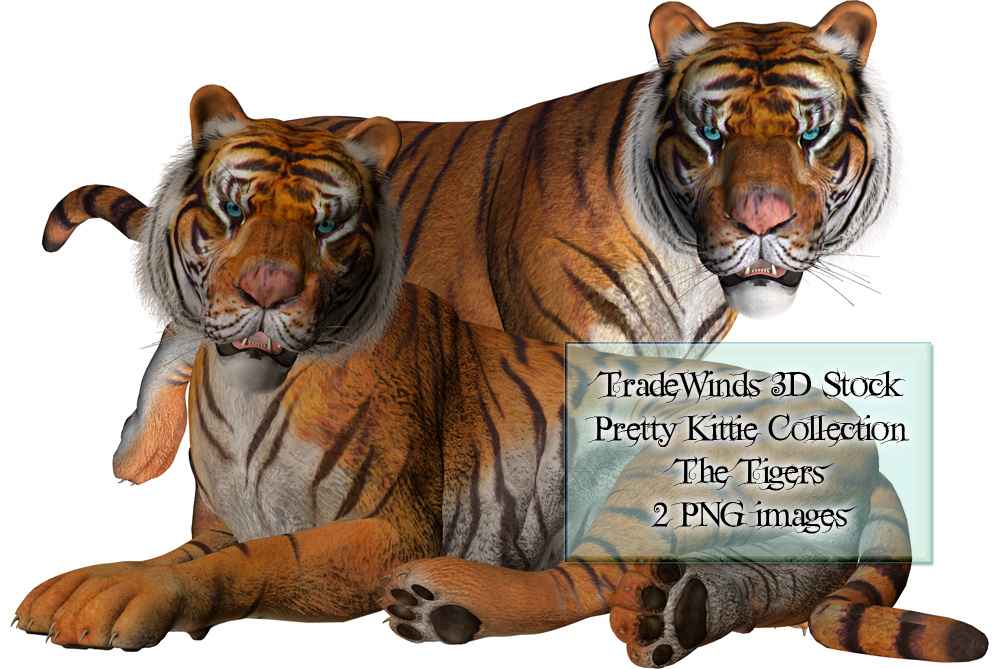 TW3D Two Tigers