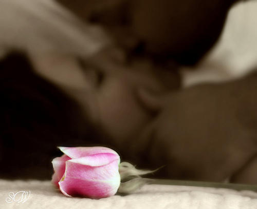 Целует цветок. Твои цветы как поцелуи. Добрый вечер с сердечками. Твои цветы как поцелуи. Любовь цветы романтика.