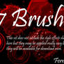 7 Brushes