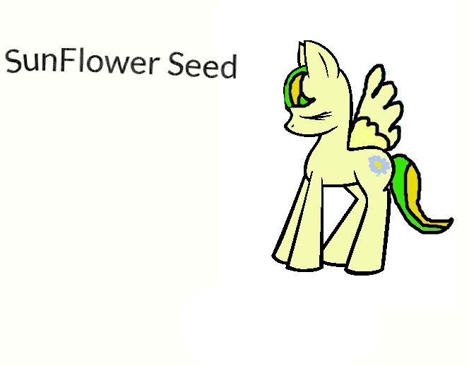 SunFlower Seed ( Emmas mlp OC)