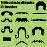 Moustache Brushes