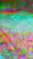 Terreiro psicodelico