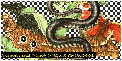 Animals and Plants_PNG