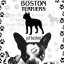 BostonTerrier brushes