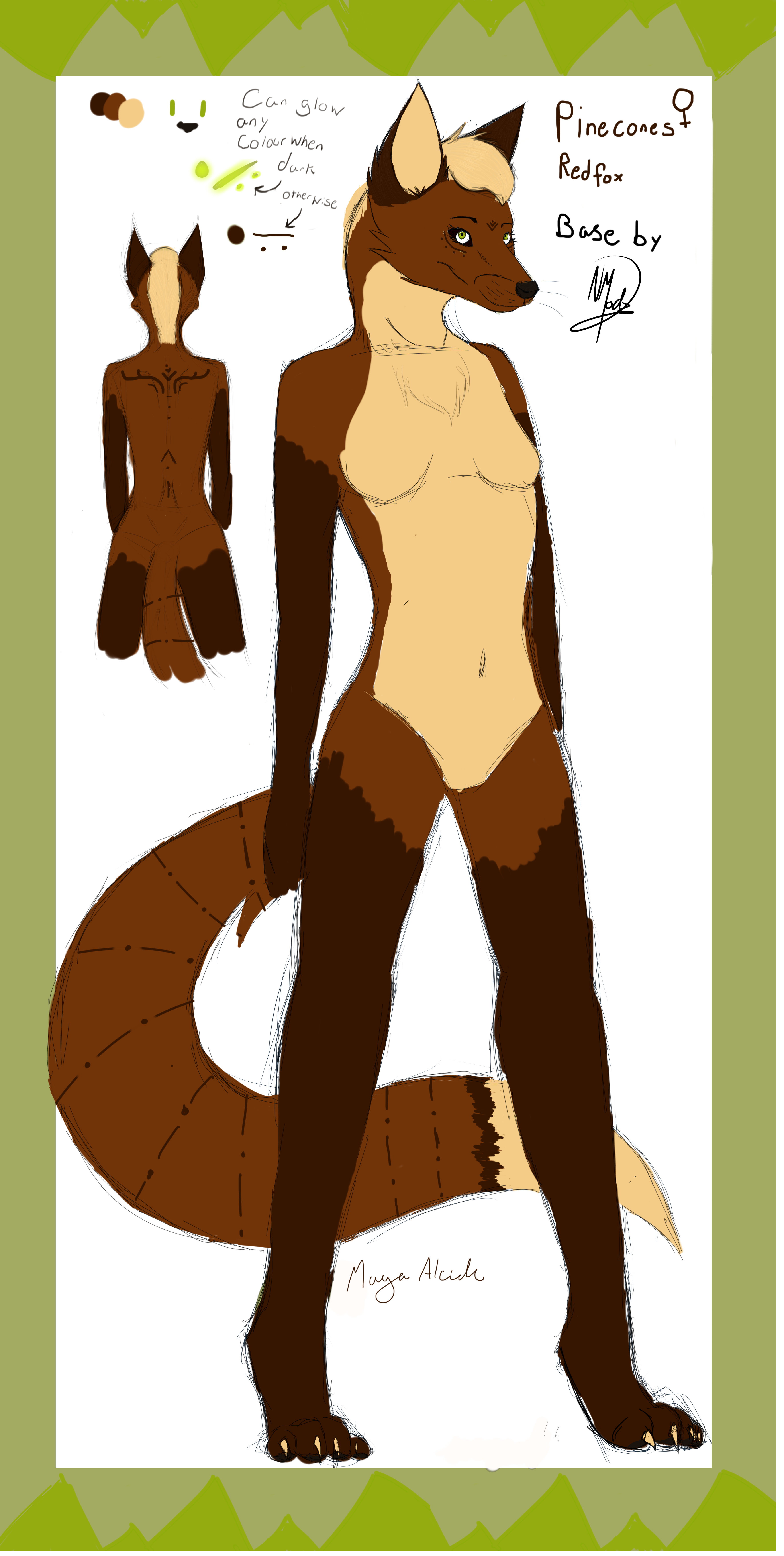The First Official Pinecones Reference by Pinecones-the-fox on DeviantArt