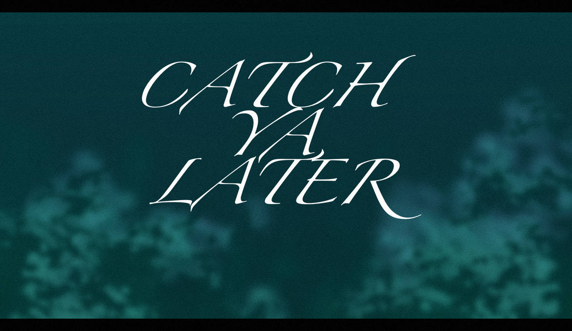 SVA Catch Ya Later Finn Retirement by Kelltick on DeviantArt