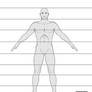 Male proportions animation