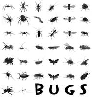 38 Bugs PS Brushes