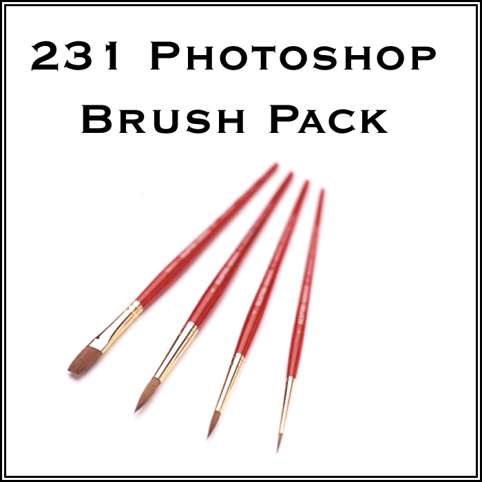 231 Photoshop Brushes