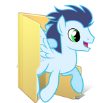 Soarin Folder by Pink618