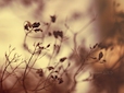 1/52 Let go by Amanda-Graham