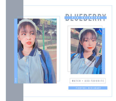 PSD COLORING 05| BLUEBERRY