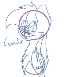 Lavander sketch (WIP)