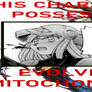 Cynthia, holder of Eve's Mitochondria