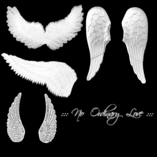 Angel Wings Brushes 2
