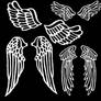 Angel Wings Brushes 3