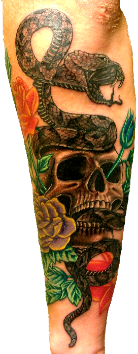 Snake And Skull Tattoo2