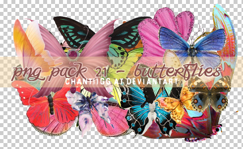 PNG PACK 21 - BUTTERFLIES by ChantiiGG on DeviantArt