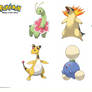 Pokemon: 3-Stage Evolutions - Johto: 3rd Stage