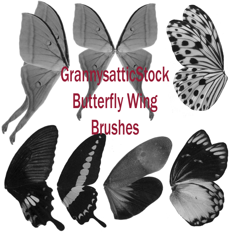 Grannys Butterfly Wing Brushes