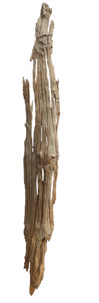 wood sculpture psd